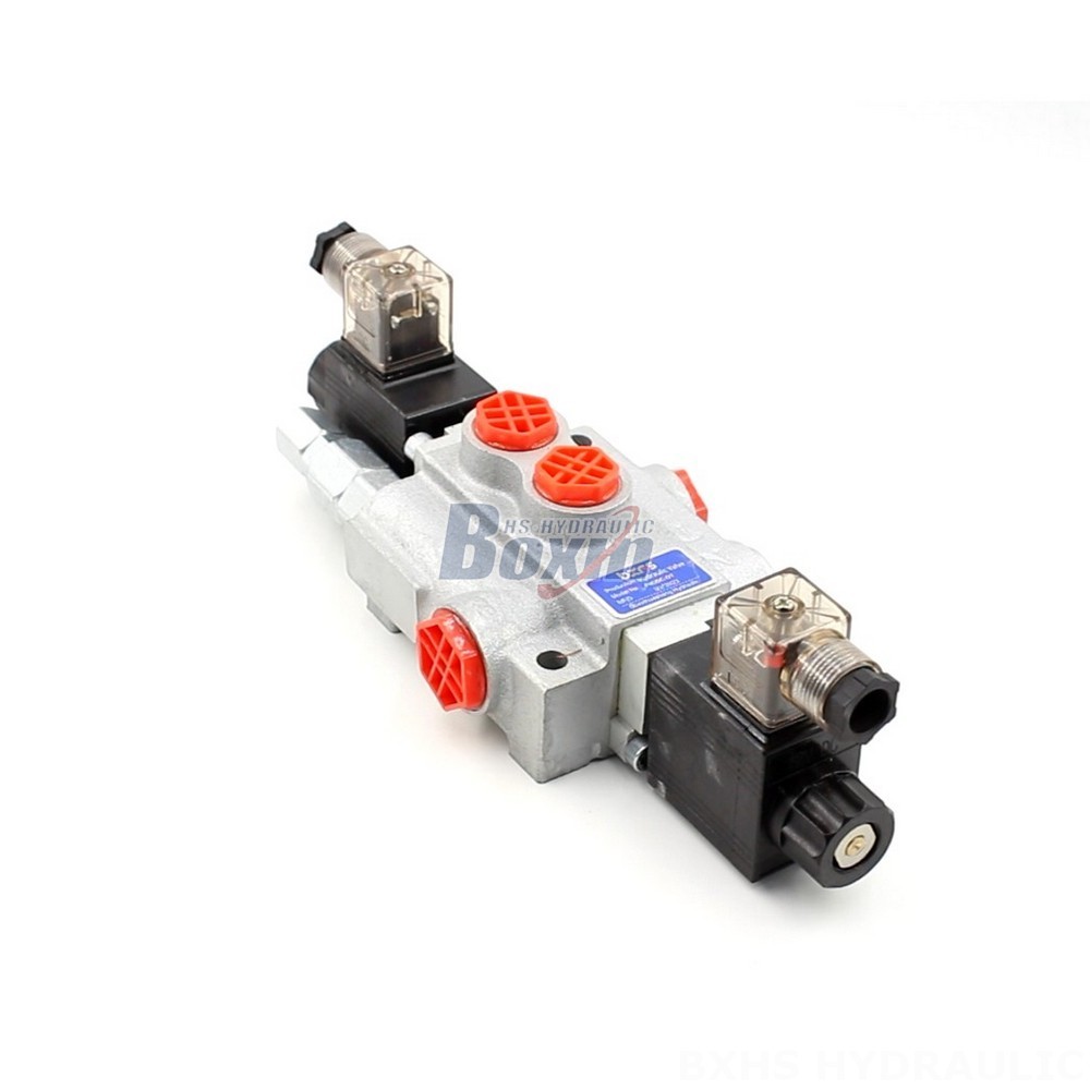 P40-DKL Valves: Direct from the Source for Cost-Effective Solutions main image