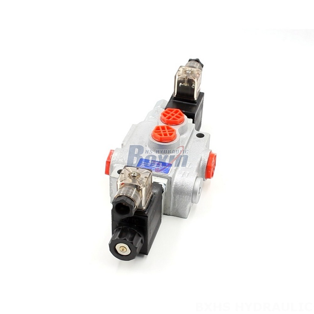 P40-DKL Valves: Direct from the Source for Cost-Effective Solutions main image