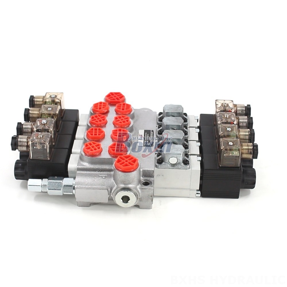 Partner with Us: P40-DS Monoblock Valve Manufacturing & Distribution Opportunities cover photo