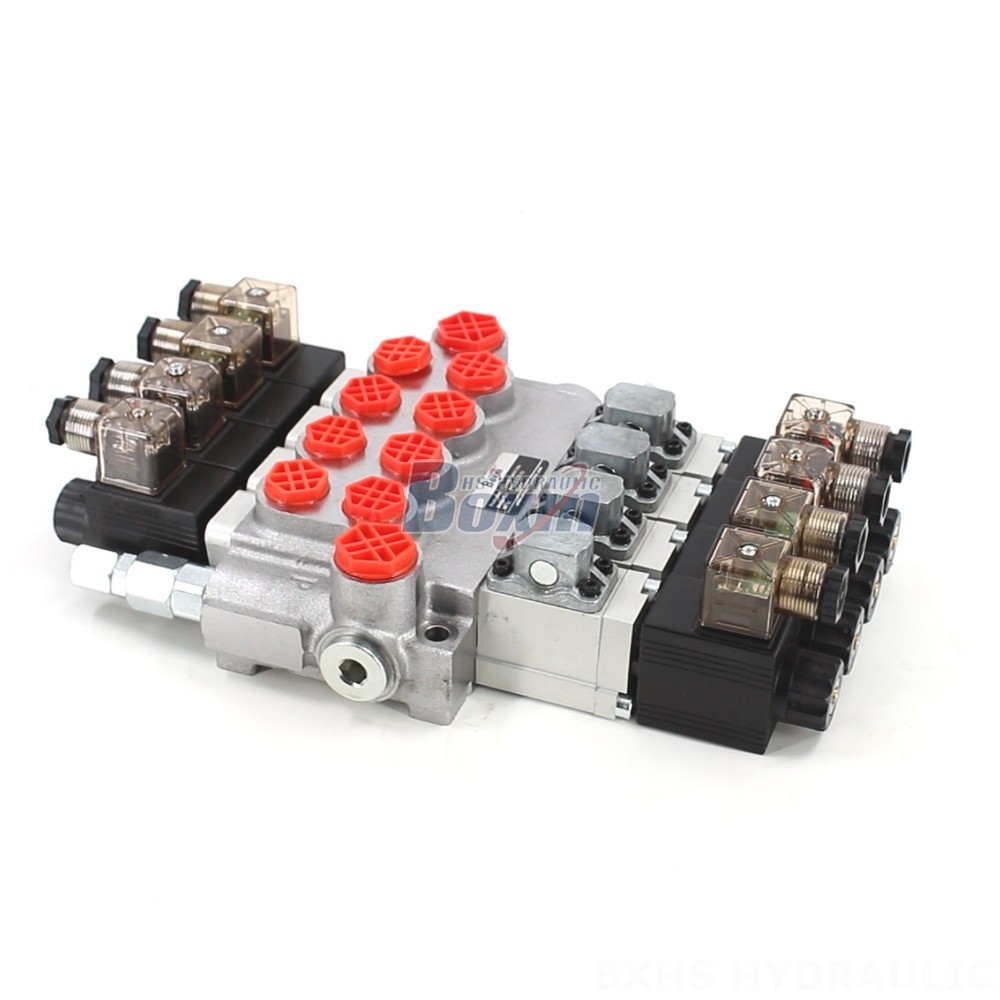 P40-DS Hydraulic Valve: Seeking Distributors & Wholesale Partners Worldwide main image