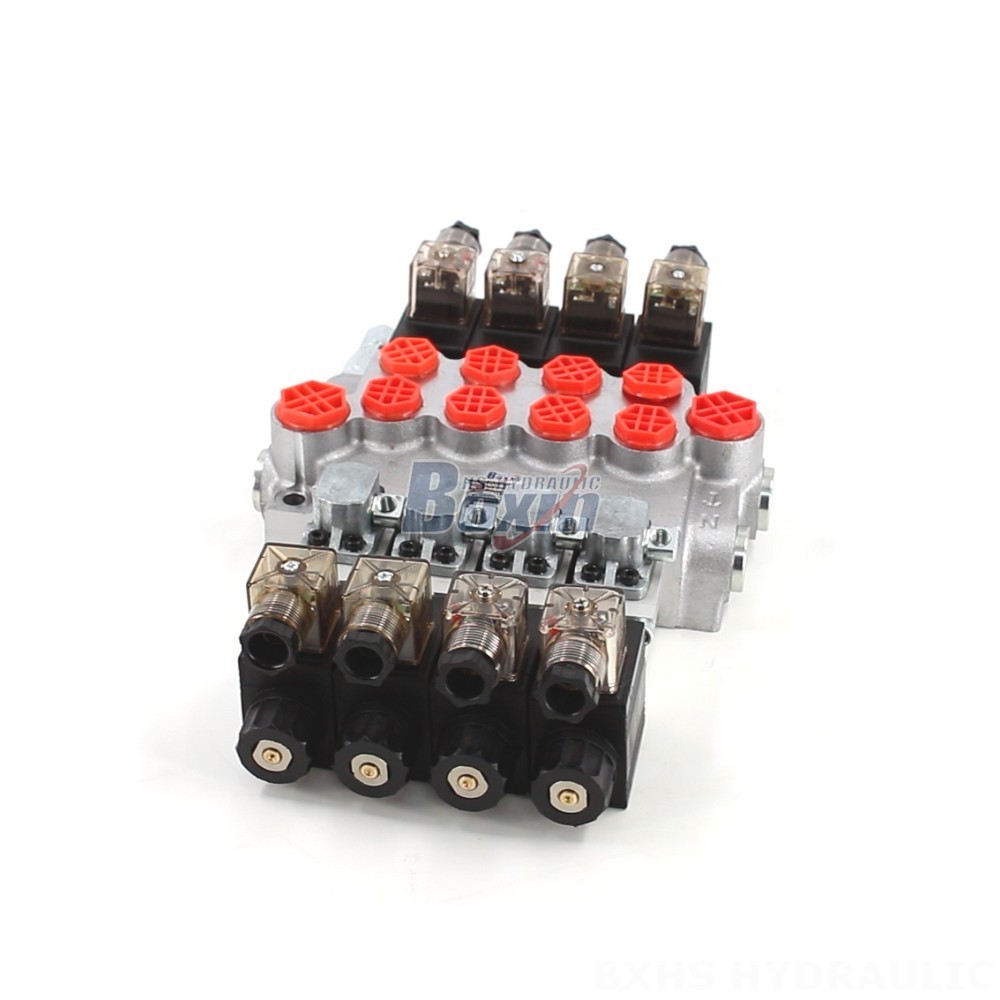 Partner with Us: P40-DS Monoblock Valve Manufacturing & Distribution Opportunities main image