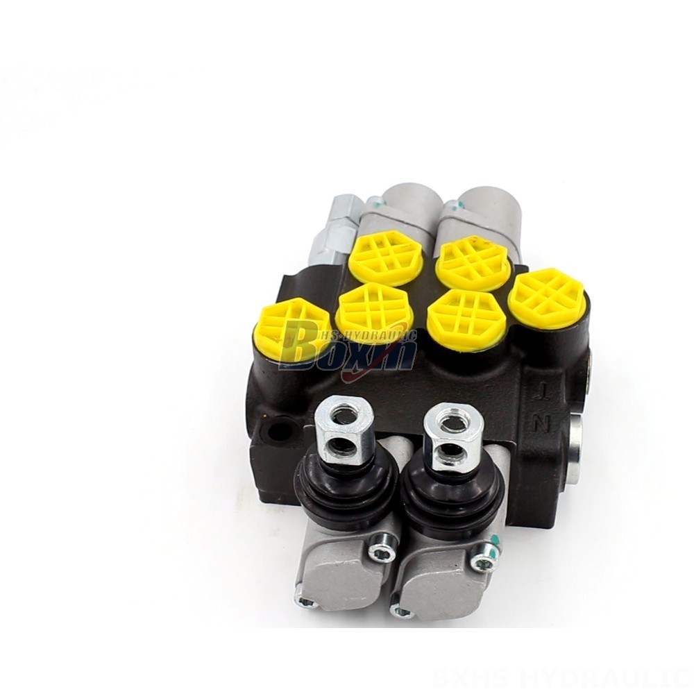 P40-G12-2OT Manual 2 Spool Monoblock Directional Valve | Manufacturer & Supplier main image