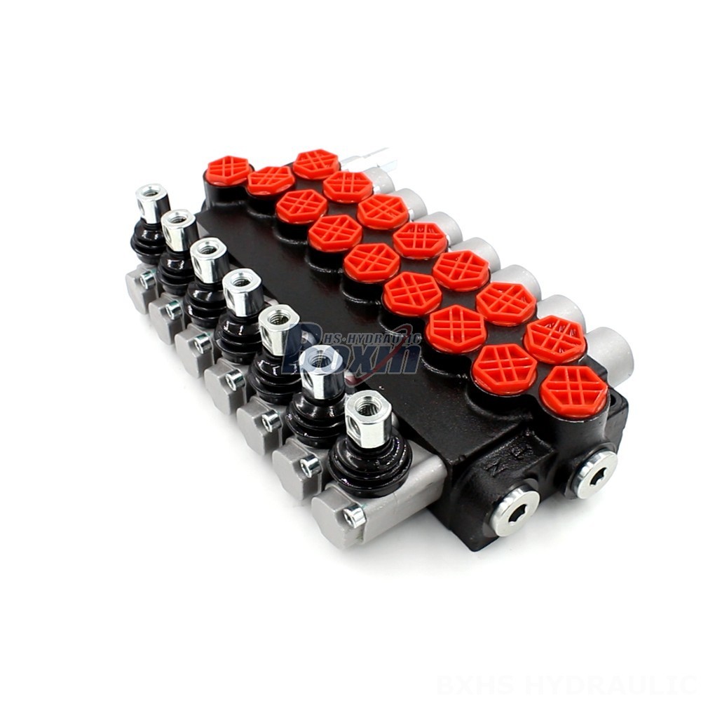 Monoblock Directional Valves: Superior Performance and Durability main image