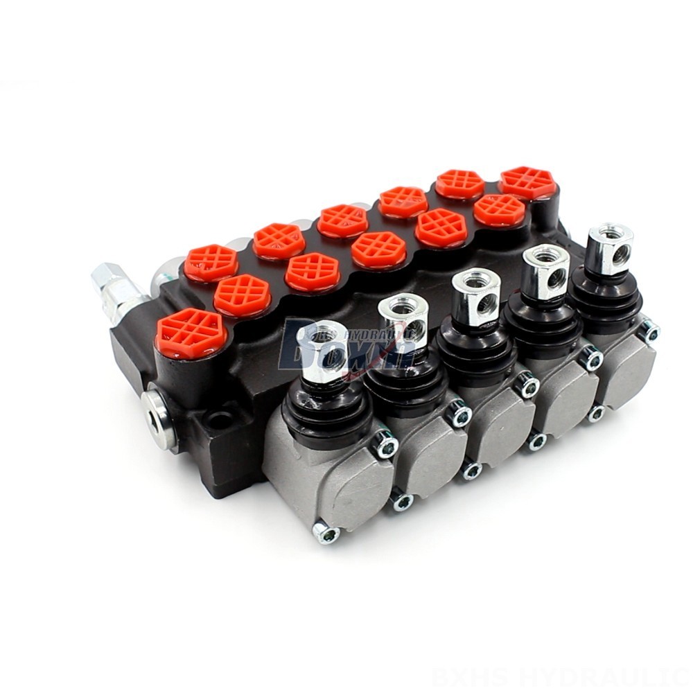 Meet Your Unique Needs: Customizable P40-G12-G38 Valves and Hydraulic Solutions cover photo