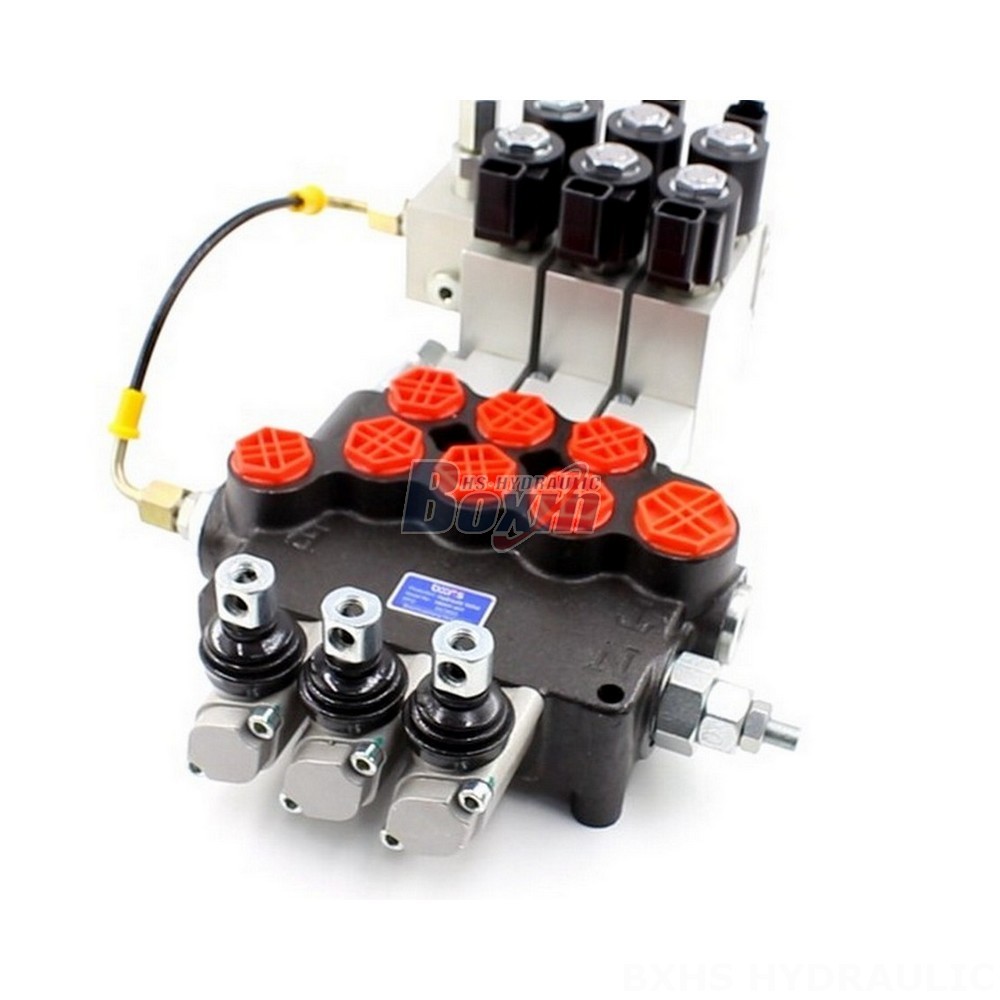 P80 Valves:  Flexible Manufacturing Options - OEM, ODM, Private Label cover photo