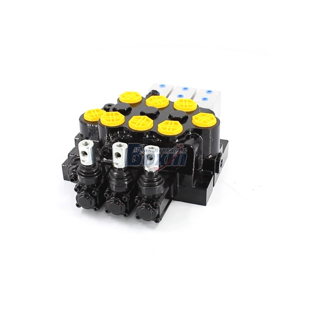Leading Manufacturer of WZF-125 Monoblock Directional Valves cover photo